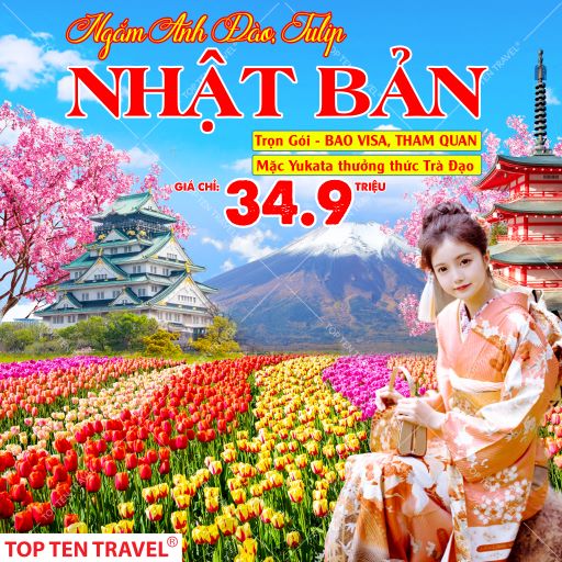 Ngắm Hoa Tulip Và Hoa Anh Đào Nhật Bản: Tokyo - Ashikaga - Fuji - Nagoya - Kyoto - Osaka | 6N5D